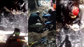 Colectivo “Hasta Encontrarte” localizó fosas