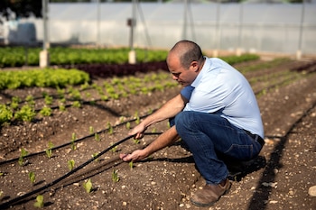 Un empleado de Netafim se