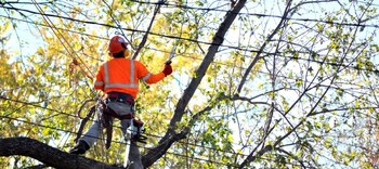 El riego de las plantas