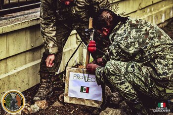 Proteo formaba parte del escuadrón