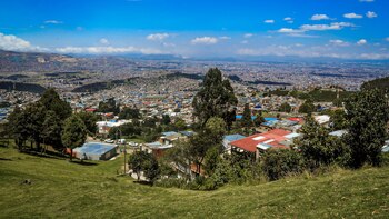 Política Integral del Hábitat, diseño