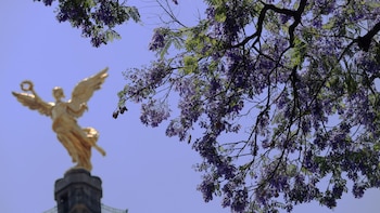 La razón por la que