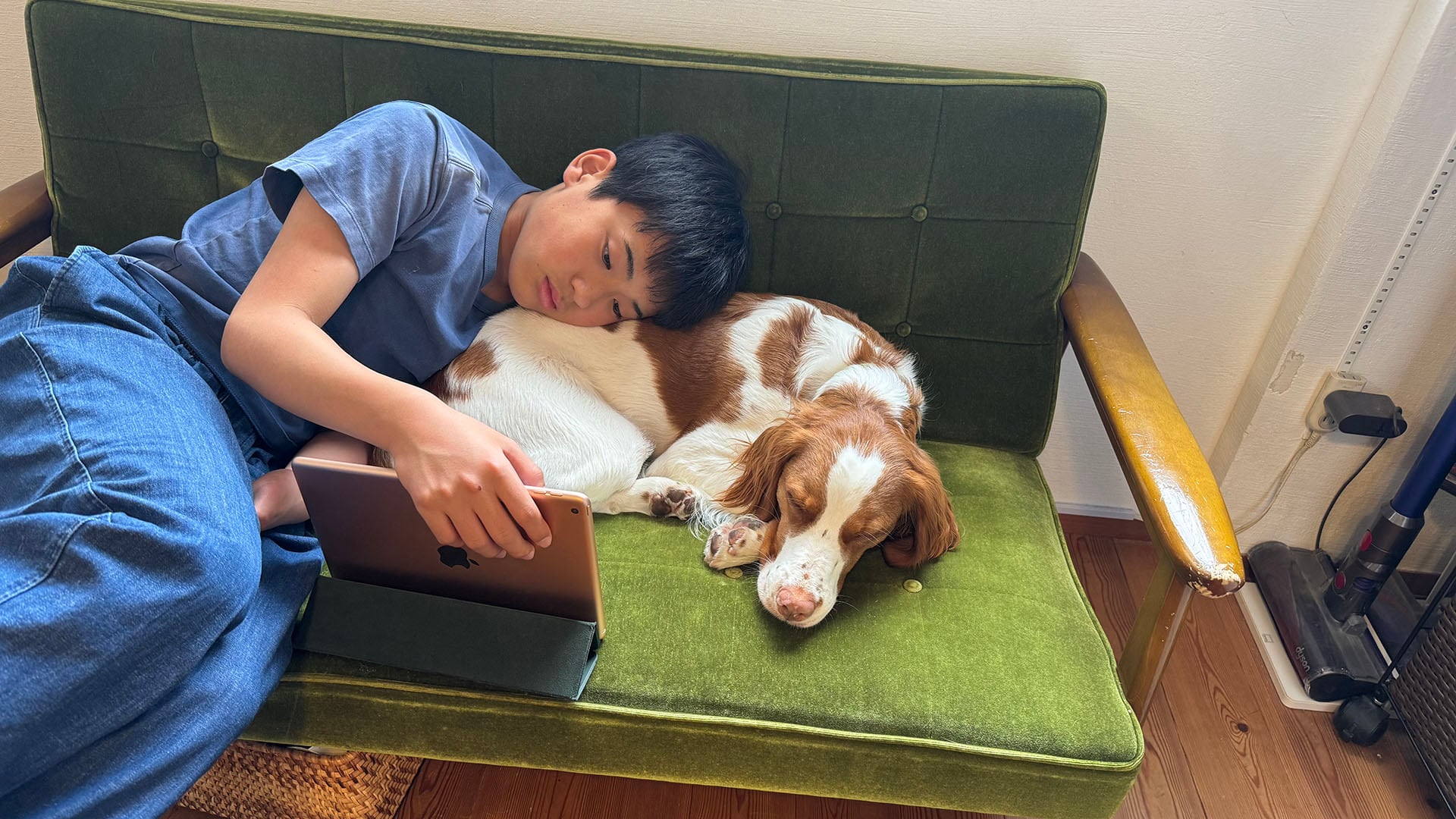 El microbioma de adolescentes con perro contiene más bacterias del género Porphyromonas, según análisis genéticos avanzados. (Ai Tsujimura)