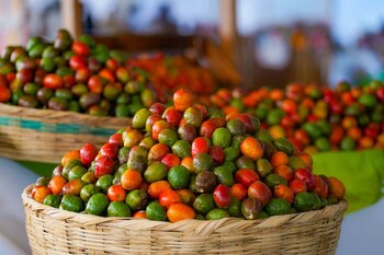 "Jocote de corona", según el gobierno de El Salvador, su nombre se debe a su peculiar forma, que lo distingue de otras variedades de esta fruta. (Foto cortesía ISTU)