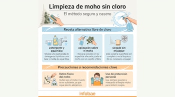 Infografía de limpieza de moho sin cloro, con imágenes de cepillo, rociador, guantes, mascarilla, tazas medidoras, detergente, grifo, ventilador y bolsa de basura.