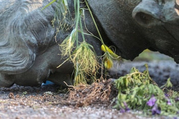 La estatua de la reina