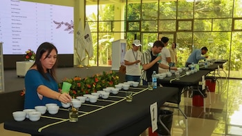 Con el respaldo del Instituto Salvadoreño del Café y expertos internacionales, la nueva edición del certamen quiere superar éxitos anteriores posicionando granos excepcionales y variedades nacionales en los mercados globales de café (Foto cortesía ISC)
