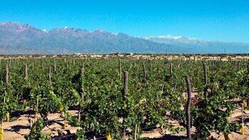 El clima afectó a la