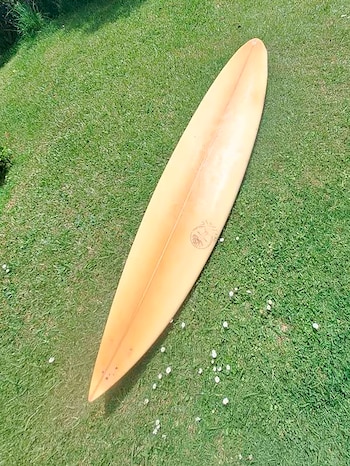 El viaje oceánico de una