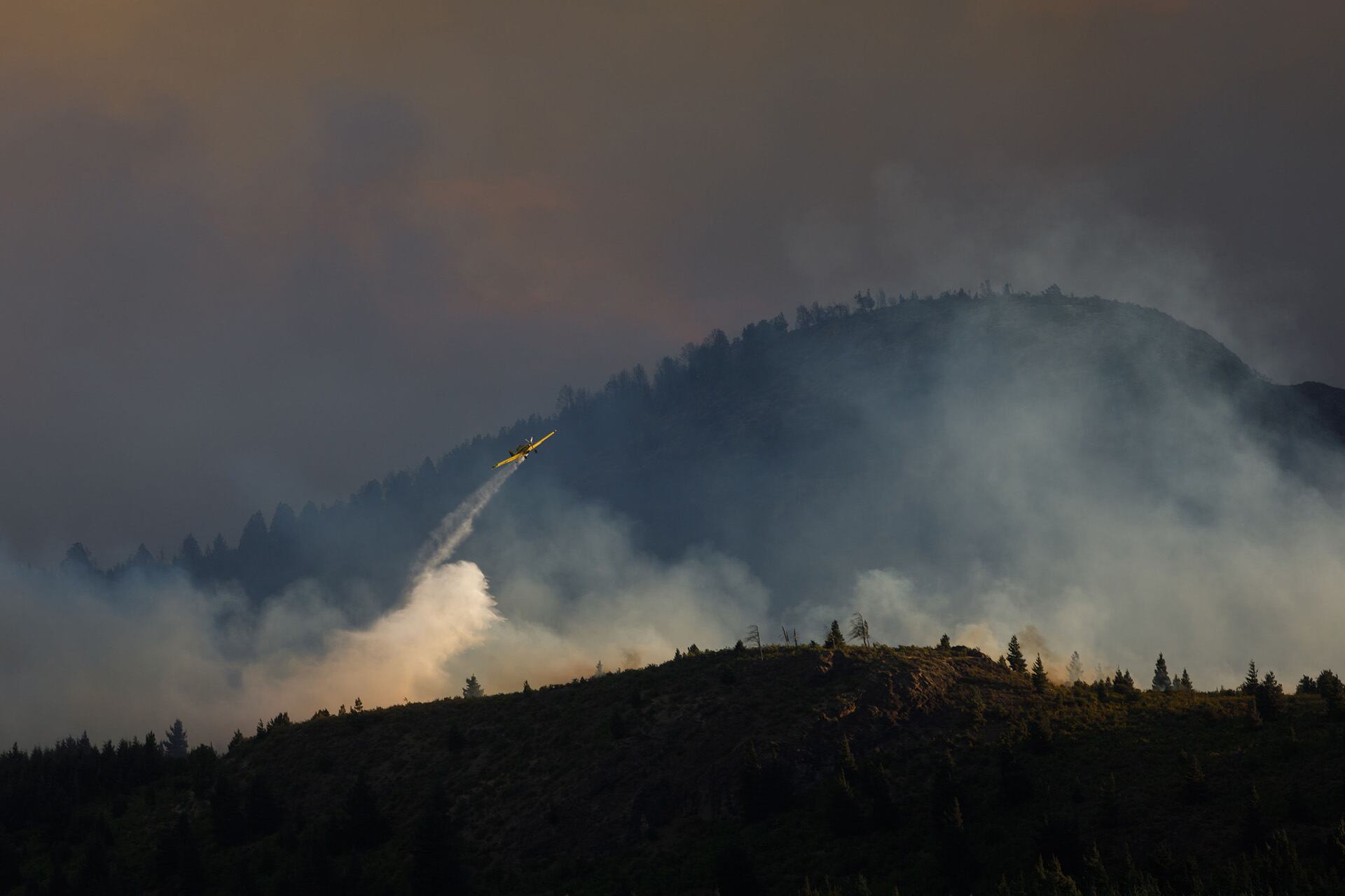 Ya hay más de 200 hectáreas afectadas por las llamas