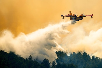 Incendio forestal en Denver