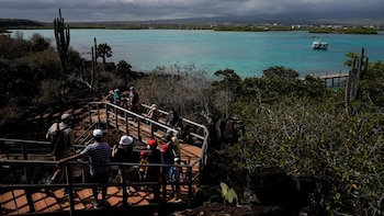 Las islas Galápagos viven hace