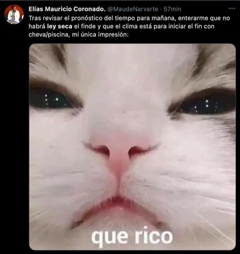 (Foto: captura de pantalla de