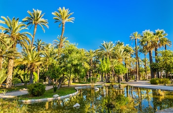 El Palmeral de Elche, en
