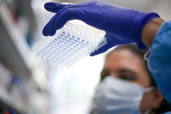 Los investigadores desarrollaron modelos informáticos