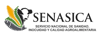 Ya se inició un proceso de investigación para conocer qué fue lo que sucedió realmente.