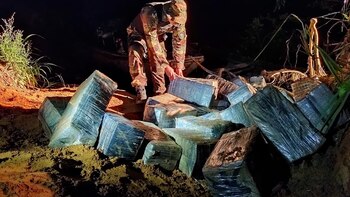 Foto ilustratica de la incautación