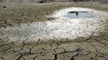 Los medios arguyen que el