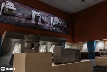 Una pelota de hule con más de 3 mil 600 años de antigüedad, hallada en el sitio arqueológico de El Manatí, Veracruz, se exhibe por primera vez al público en el Museo de la Grandeza Teotihuacana, donde destaca como una de las evidencias más antiguas de las prácticas rituales y del uso del hule en Mesoamérica