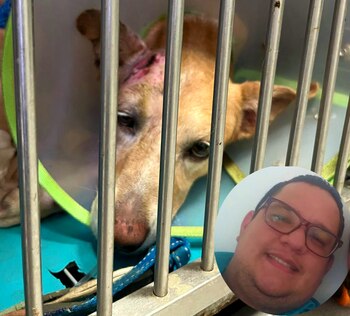 Un trabajador de PriceSmart fue