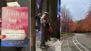 Las imágenes de Guillermina Valdés