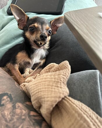 Marv tiene un gran corazón