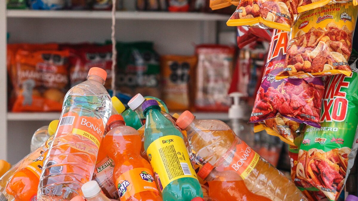 Habrá multa por vender alimentos chatarra? SEP aclara si habrá sanción a quienes no respeten la iniciativa nutricional - Infobae
