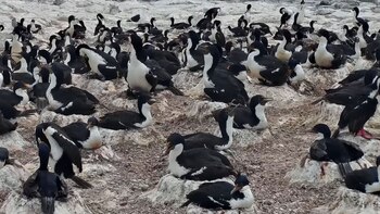 La transmisión facilita la detección