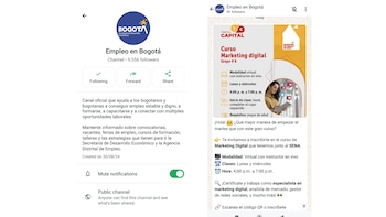 Estas son algunas de las