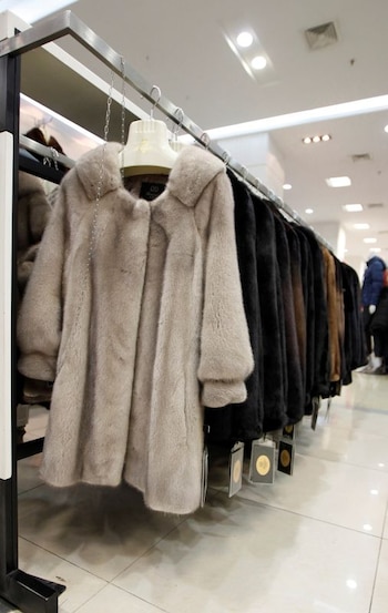 Foto de archivo. Abrigos de