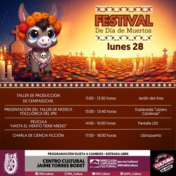 Estas son todas las actividades