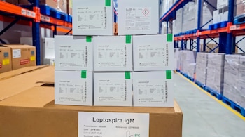 Varias cajas blancas de kits de prueba de Leptospira IgM apiladas sobre una caja de cartón en un almacén con estanterías llenas