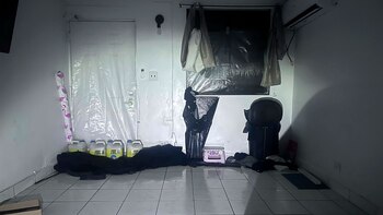 En esta foto proporcionada por