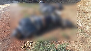 Los cuerpos estaban a las