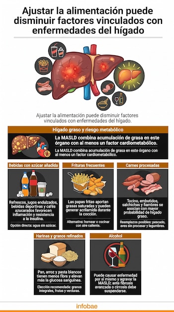Infografía con ilustraciones de un hígado rodeado de alimentos como bebidas azucaradas, papas fritas, embutidos, pan blanco y alcohol.