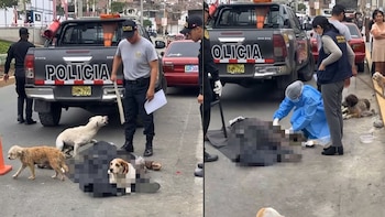 Agentes policiales y un perito forense trabajan en la vía pública junto a un cuerpo cubierto y varios perros cerca de un patrullero