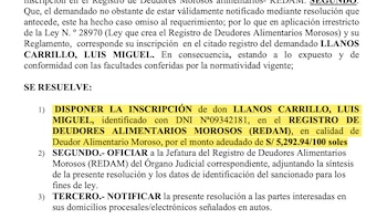 Documento legal impreso con texto en español donde resalta en amarillo la orden de inscripción de Luis Miguel Llanos Carrillo en el REDAM