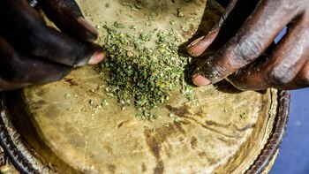 La Justicia de Kenia rechaza autorizar el uso religioso del cannabis por la comunidad rastafari
