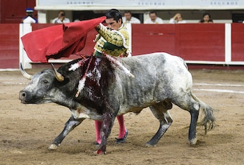 El torero mexicano Ernesto Javier