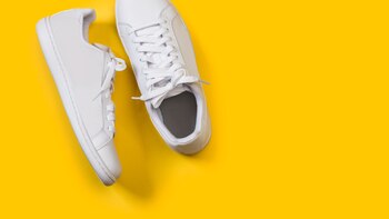 Programa Pasos del Bicentenario: ¿Cómo