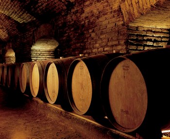 Chile es conocido mundialmente por