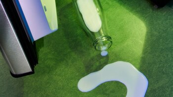 5 mitos sobre los lácteos