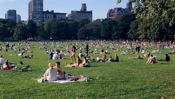 Nueva York verá la final del Mundial en el Central Park