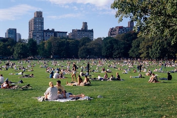 El Great Lawn recibirá a unas 50.000 personas para seguir gratuitamente el partido decisivo del torneo.