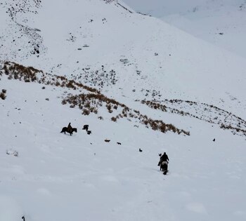 rescate de un arriero en Mendoza