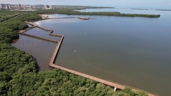MinHacienda autoriza crédito de USD 50 millones de la CAF a Barranquilla para recuperar la ciénaga de Mallorquín