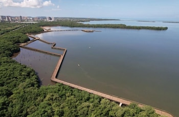 La recuperación de la ciénaga de Mallorquín contempla intervenciones en ecosistemas, playas, manglares y espacios públicos. - crédito Alcaldía de Barranquilla