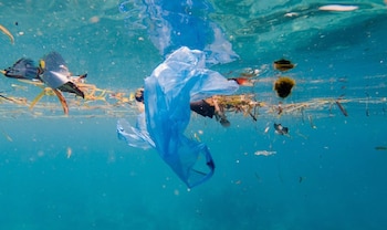 La mayoría de los residuos