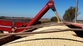 Foto de archivo: una cosechadora