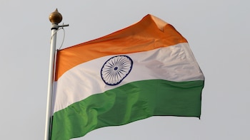 India podría permitir la importación